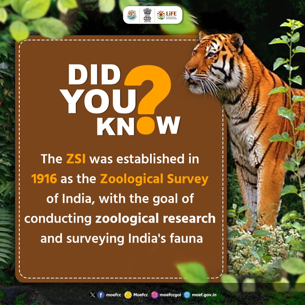 Read more about the article Fauna of India Checklist Portal